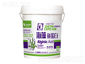 �����~����-�՝�(r��n)�S