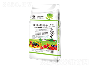 ����������(r��n)�S-�՝�(r��n)�S