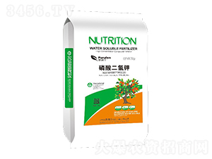 2kg��������-�՝�(r��n)�S