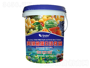 �����~(y��)���׻��Ծ�-�՝�(r��n)�S