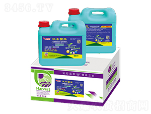 ���S����-�՝�(r��n)�S