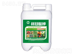 �������-�՝�(r��n)�S