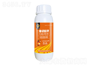 �������0-525-370+TE-�i�_(d��)���r(n��ng)