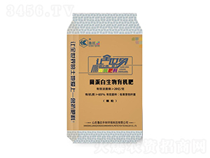 20�|�������������ЙC��-�����к�