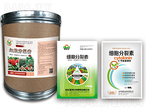 ��(x��)��������-��(zh��n)܇ 