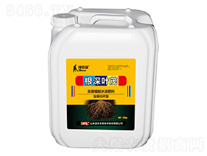 �����~ï-��(zh��n)܇(ch��)