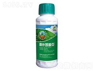 �~���-����P�տ�-���A����