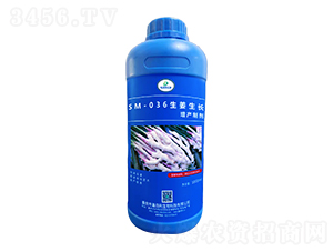 SM-036�������L���a(ch��n)�Ƅ���1000ml��-�ΰ�������