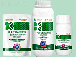 ����Ԫ��ˮ�ܷ���-ʮ��Ԫ��-����(chu��ng)���d