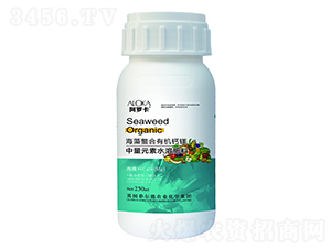 ���������ЙC�}�V-�����_-�Ɲ��r(n��ng)��