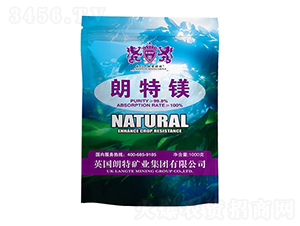 �����V-Ӣ����