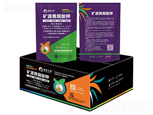 �VԴ�S�����-�ػ�����