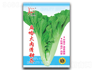 ����������-��˷N��-�}�ʷN�I(y��)