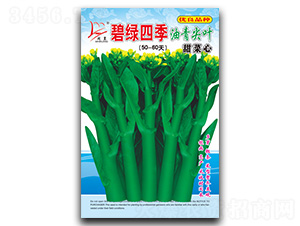 �̾G�ļ�-���ķN��-�}�ʷN�I(y��)