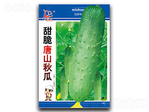 �����ɽ���-��ϷN��-�}�ʷN�I(y��)