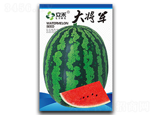 ��܊-���ϷN��-�}�ʷN�I(y��)