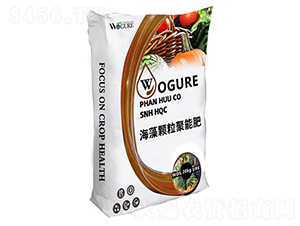 �����w�����ܷ�-�ָ���