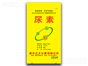 ����-�彭-��������