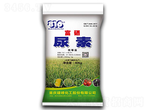 �������w����-����