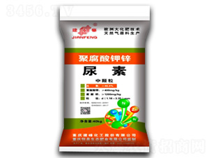 �۸�����\-����