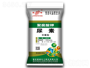 �۸����-����