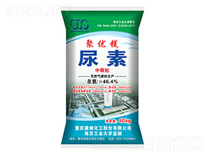 �ۃ�(y��u)������-����