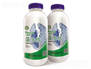 ̼ø�������������-������-������-�W���S