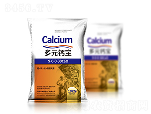 ��Ԫ�}��9-0-0-30CaO-����