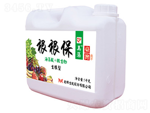 �����͸�����-����-�ƺ�