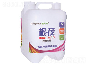 �������ø�ï-���R��-�ƺ�