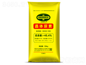 ���w����-�л�����