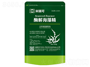 ø�⺣�徫-�����-��(y��u)�{��