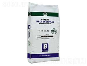 ��Ԫ��(f��)���x�ӷ�19-19-19+TE-��(y��u)�{��