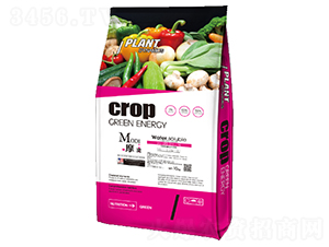 ��Ԫ��(f��)���x�ӷ�-ħ��-��(y��u)�{��