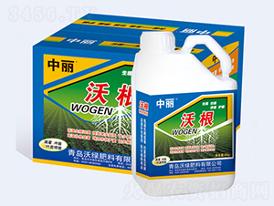 �ָ�-�־G����