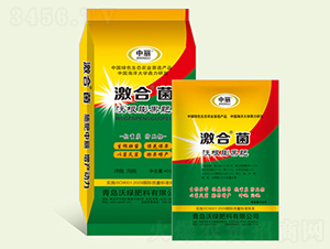 �ָ������-���Ͼ�-�־G����