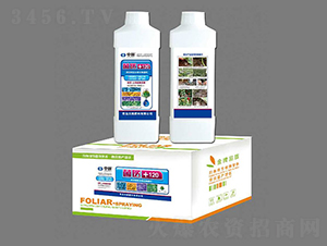 ���t(y��)+120-�־G����