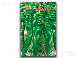 ���^2817-�ݽz���N��-��̩