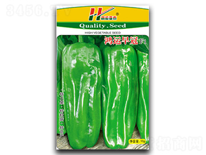 ���\(y��n)���-��Ƥ���\���N��-��̩