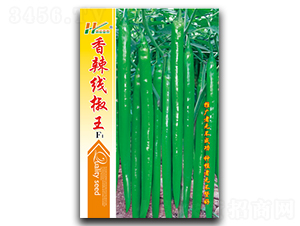 ����������-�����N��-��̩