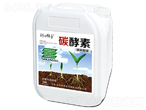 ̼����-�Z����