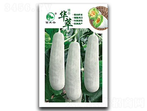 �A��-����۷N��-�ٺ̹�