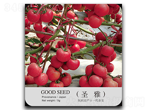 ʥ��-���ѷN��-�ٺ̹�