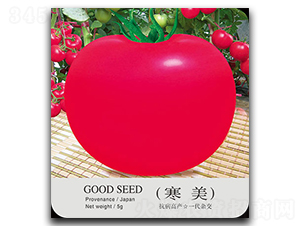 ����-���ѷN��-�ٺ̹�