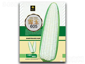 ѩ��605-Ŵ���׷N��-�ٺ̹�