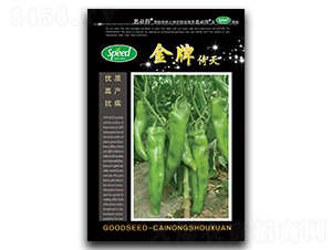 ��������-�����N��-�ٺ̹�