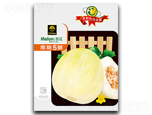 ˼��5̖-��ϷN��-�ٺ̹�