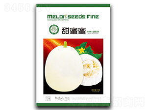 ������-��ϷN��-�ٺ̹�