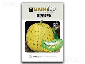 ���߱�-��ϷN��-�ٺ̹�