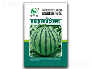 �����ۻ���-���ϷN��-�ٺ̹�